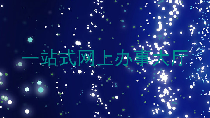 一站式网上办事大厅