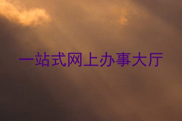 一站式网上办事大厅