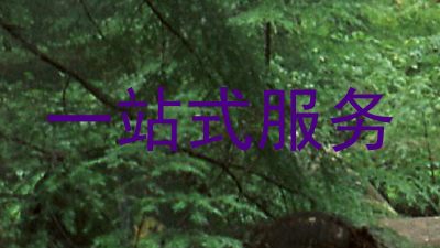 一站式服务