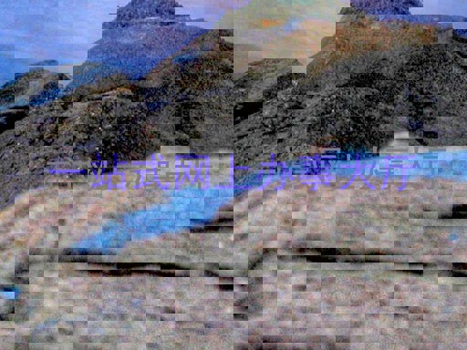 一站式网上办事大厅