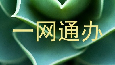 一网通办