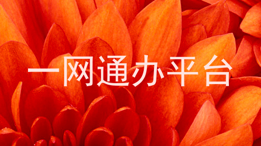 一网通办平台