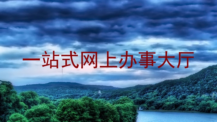 一站式网上办事大厅