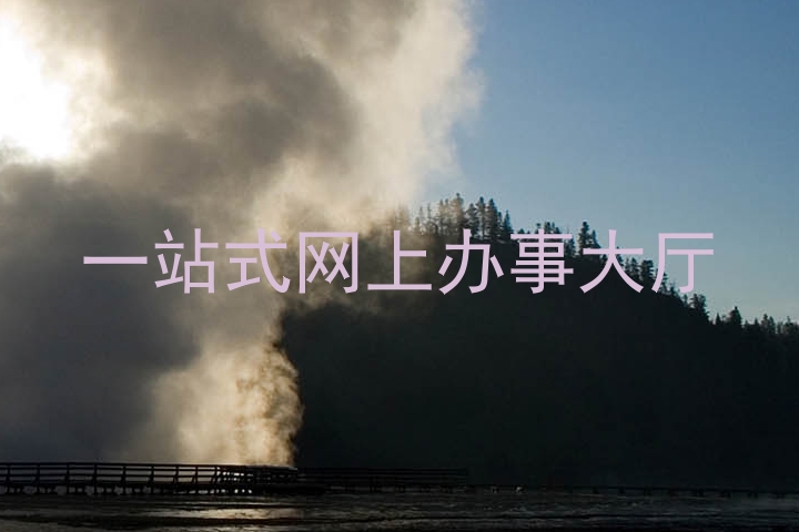 一站式网上办事大厅