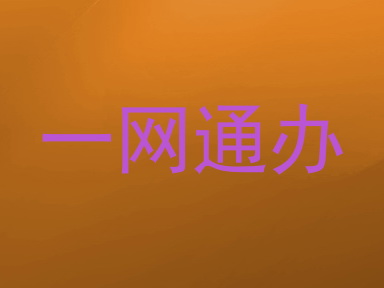 一网通办