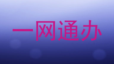 一网通办
