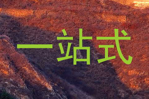 一站式
