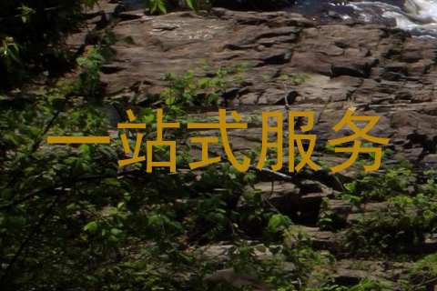 一站式服务