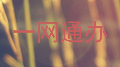 一网通办