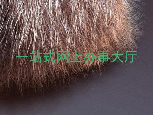 一站式网上办事大厅