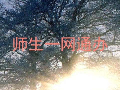 师生一网通办