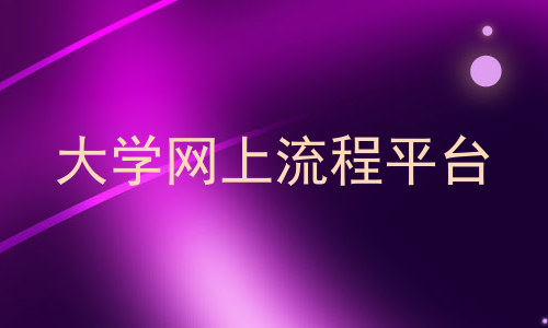 大学网上流程平台
