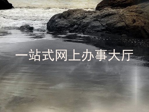 一站式网上办事大厅