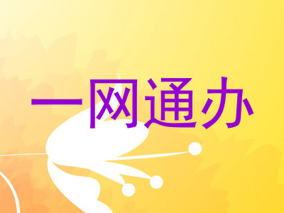 一网通办