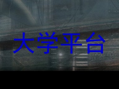 大学平台
