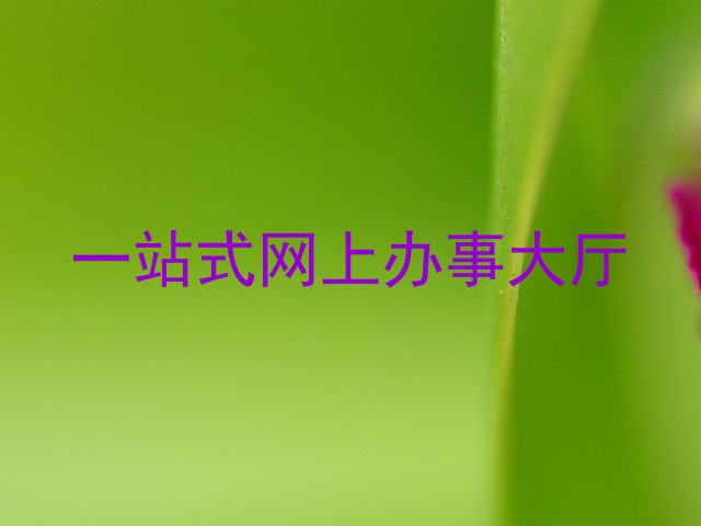 一站式网上办事大厅