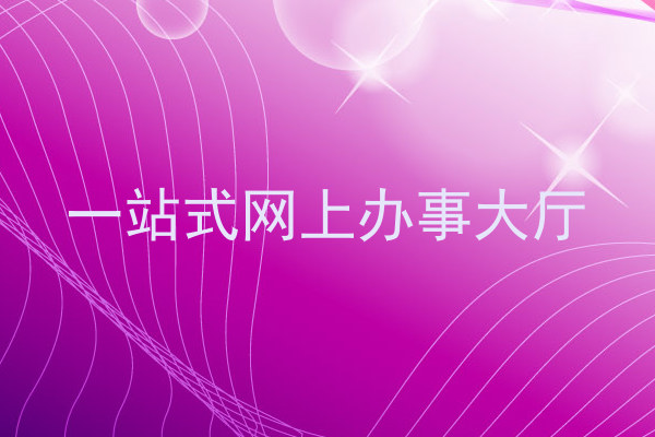 一站式网上办事大厅