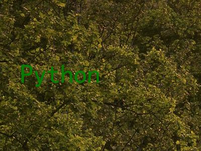 Python