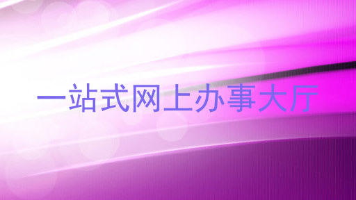 一站式网上办事大厅