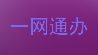 一网通办