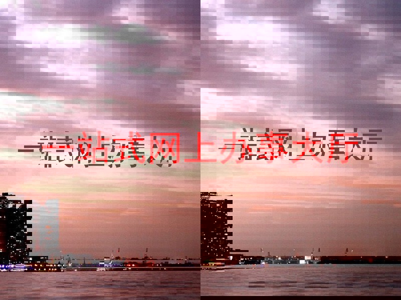 一站式网上办事大厅