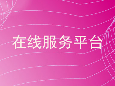 在线服务平台