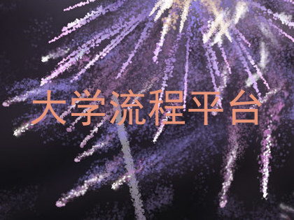 大学流程平台