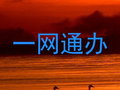 一网通办