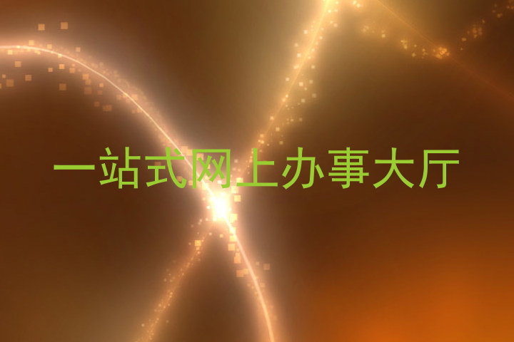 一站式网上办事大厅