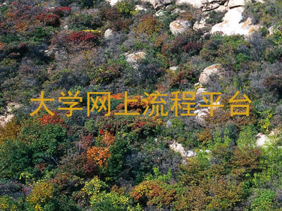 大学网上流程平台