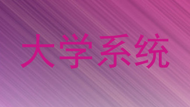大学系统