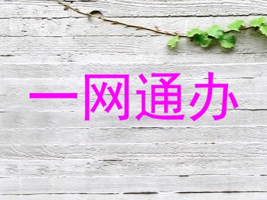 一网通办