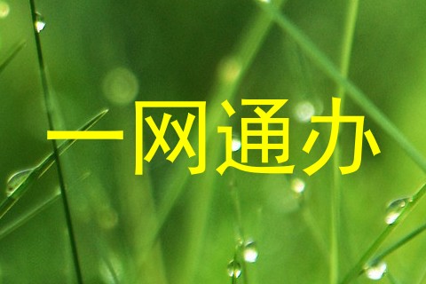 一网通办
