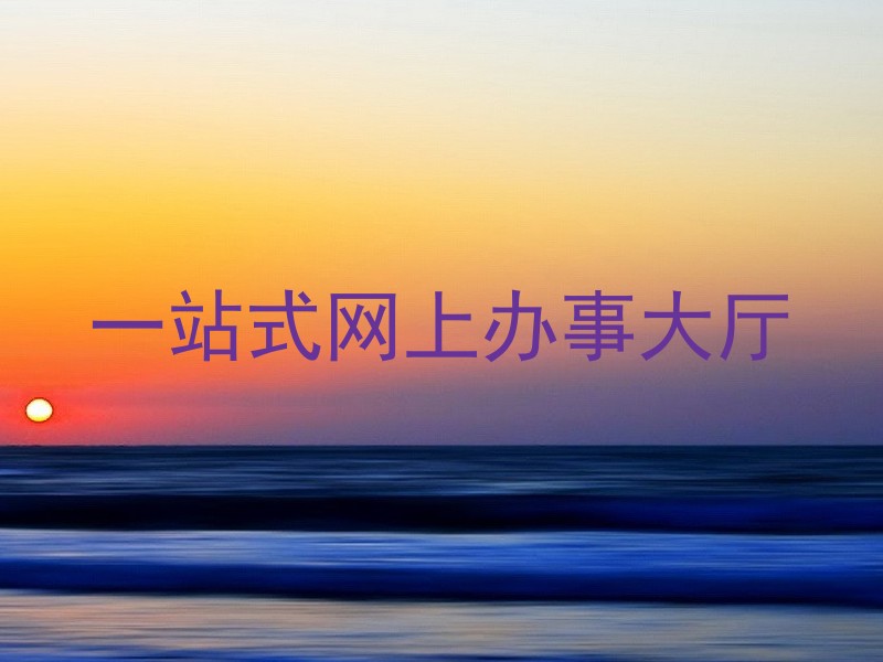 一站式网上办事大厅