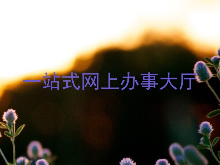 一站式网上办事大厅