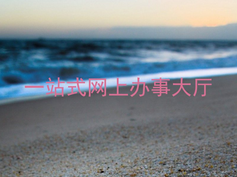 一站式网上办事大厅