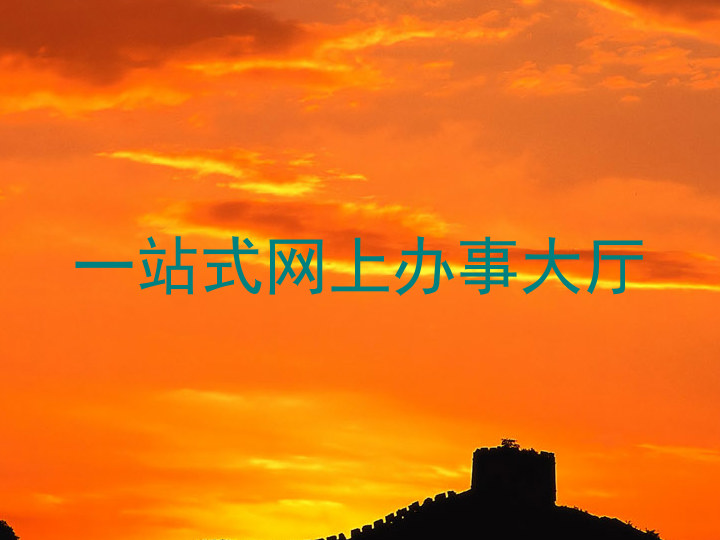 一站式网上办事大厅