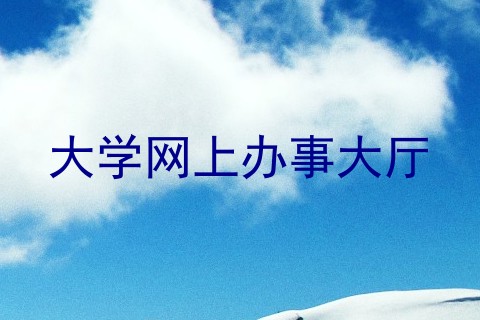 大学网上办事大厅