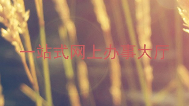 一站式网上办事大厅