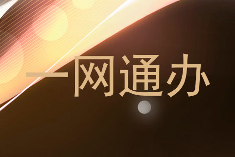 一网通办