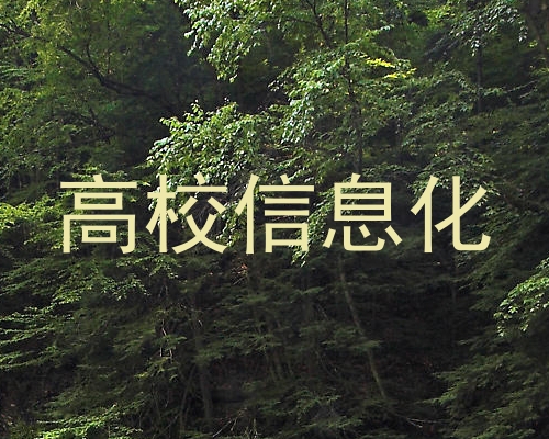 高校信息化