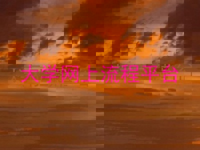 大学网上流程平台