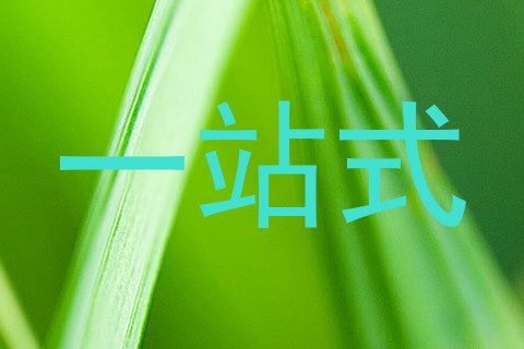 一站式