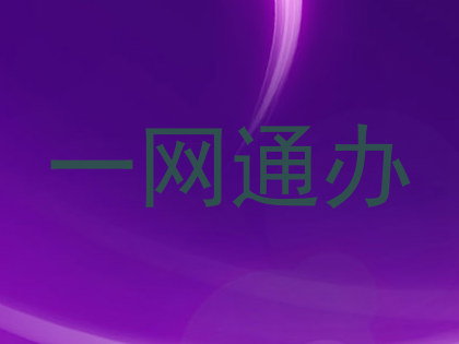 一网通办