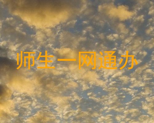 师生一网通办