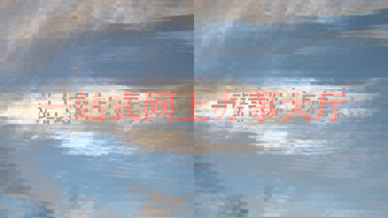 一站式网上办事大厅