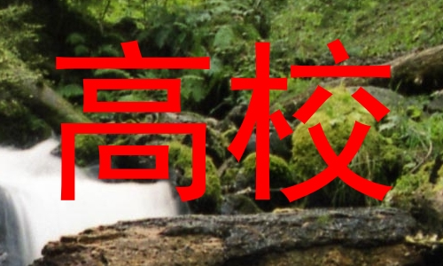 高校