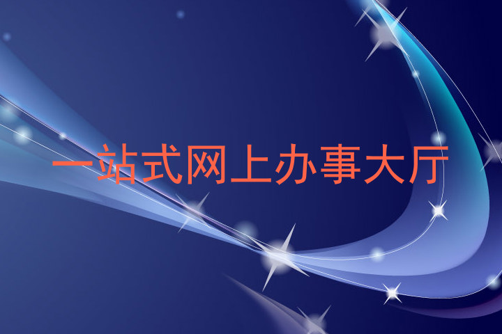 一站式网上办事大厅