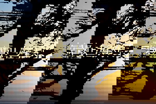 一站式网上办事大厅