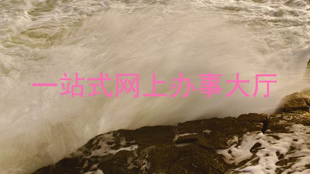 一站式网上办事大厅